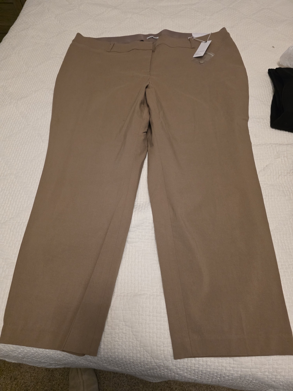 Lane Bryant Relaxed Straight-Leg Trousers in Light Brown